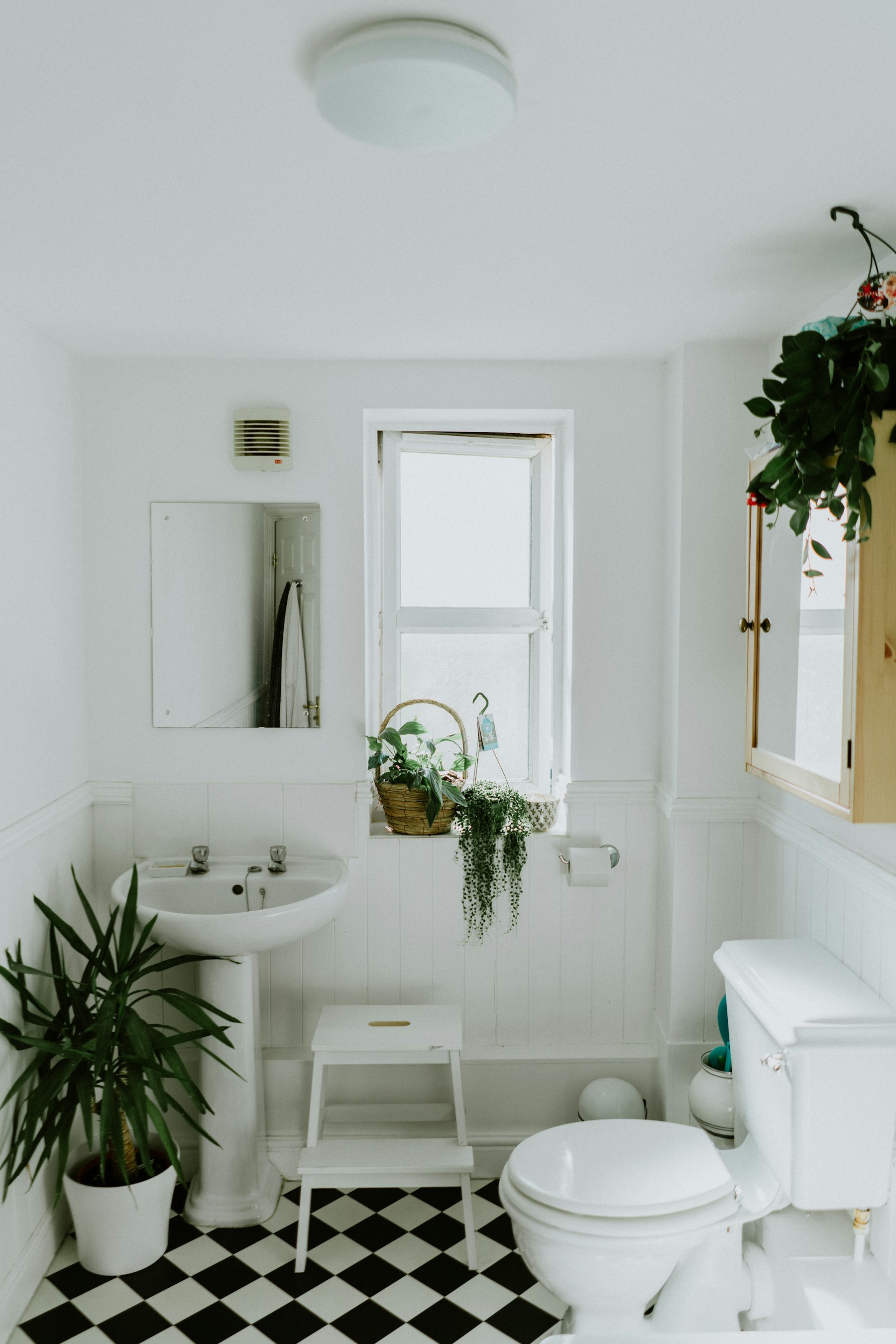 Pine Bath · Soft White Porcelain